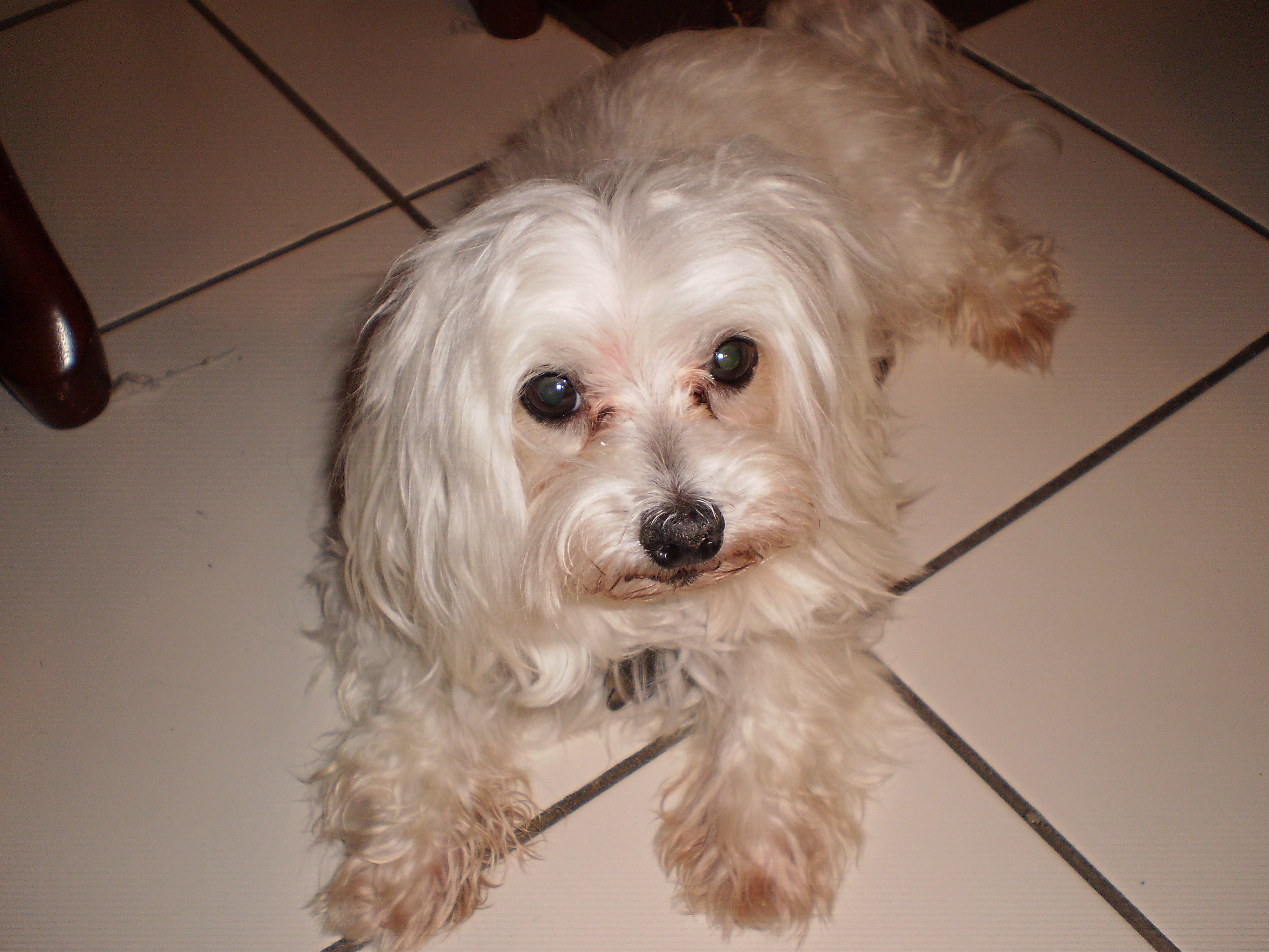 my Dpg Itty picture 1 Bitty