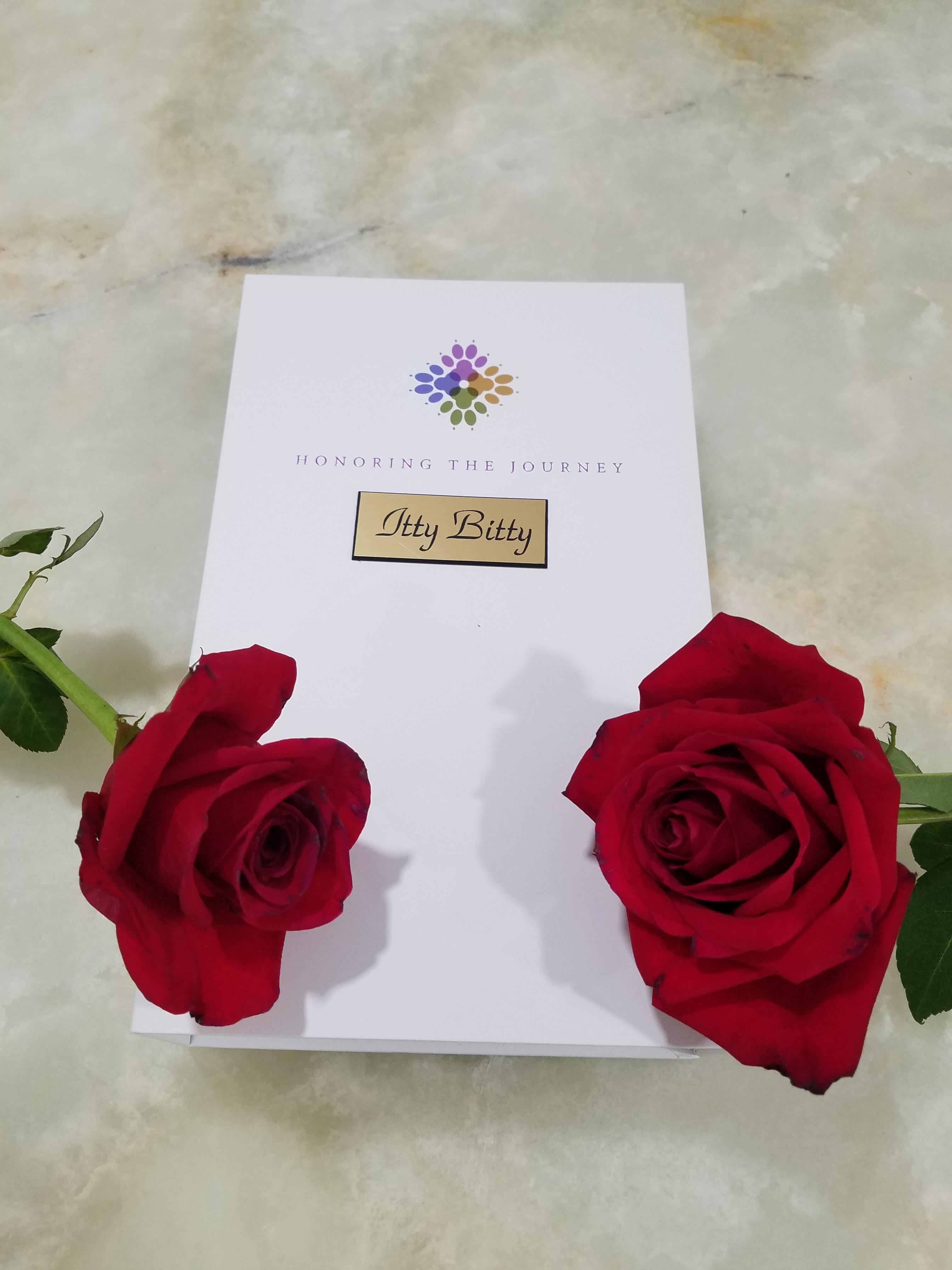 my Dpg Itty Bitty memory 1