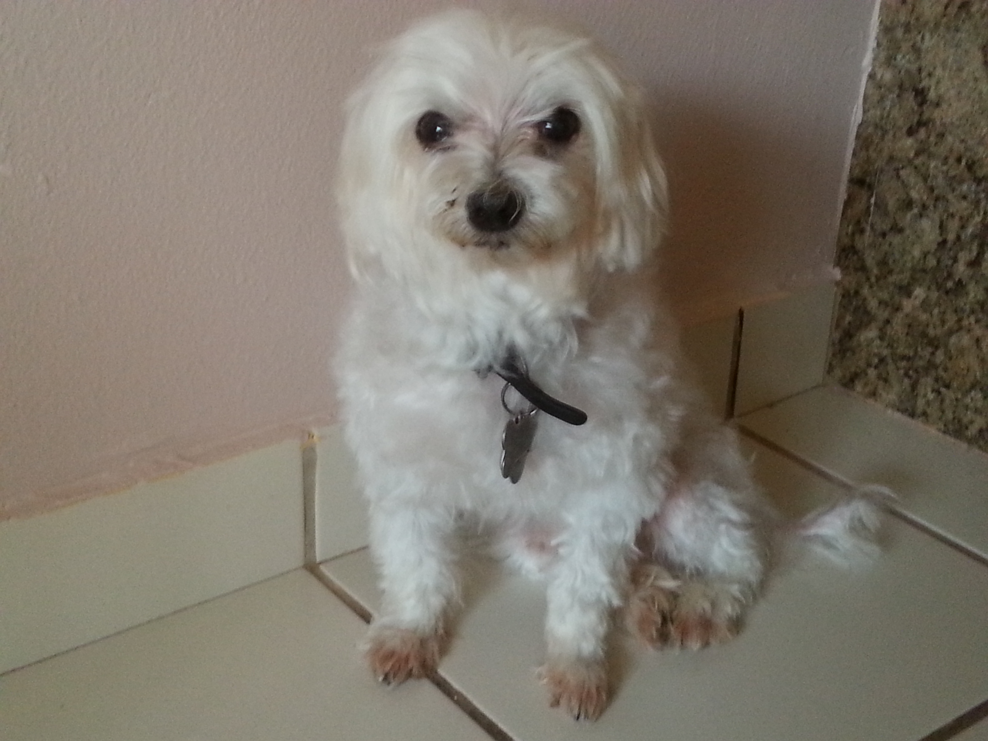 my Dpg Itty Bitty Picture 2